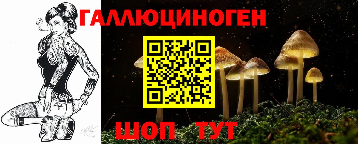 Находка  Псилоцибиновые грибы GOLDEN TEACHER  Вход с VPN 